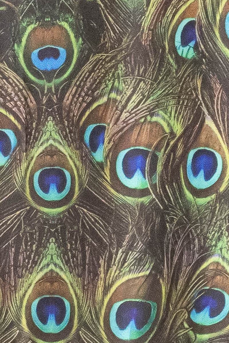 Muddy Peacock